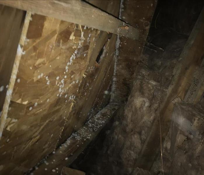 mold growth in the attic due to water damage from a aging roof