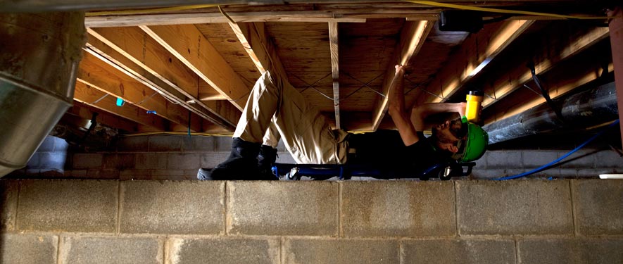 Issaquah, WA mold removal
